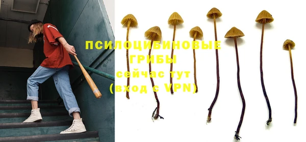 круглые Армянск